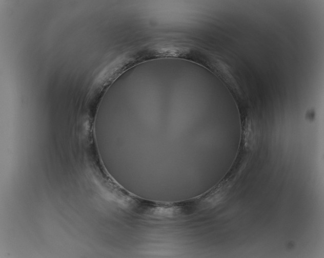 X0000111820314200907301303