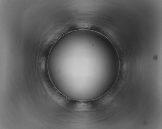 X0000111820315200907301303