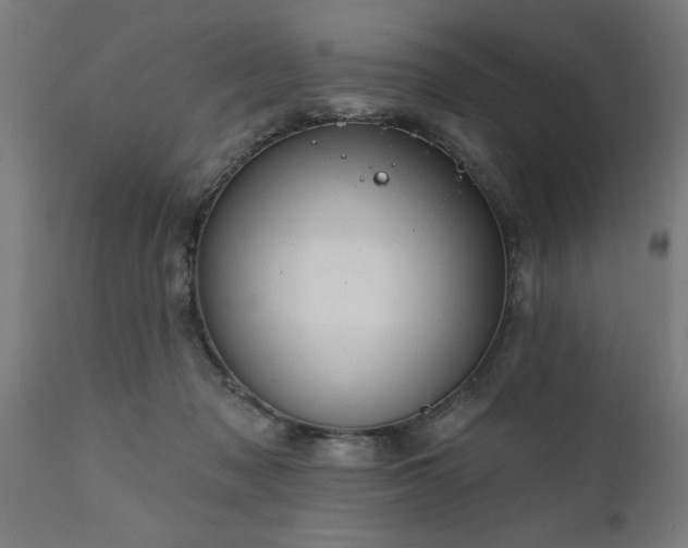 X0000111820317200907301303