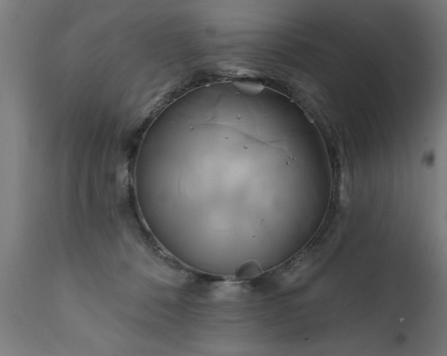 X0000111820320200907301303