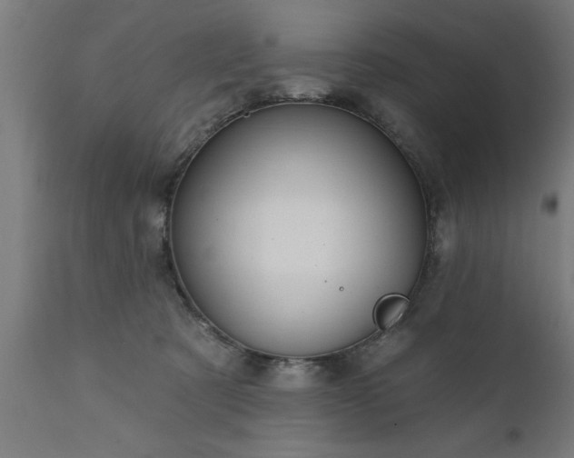 X0000111820321200907301303
