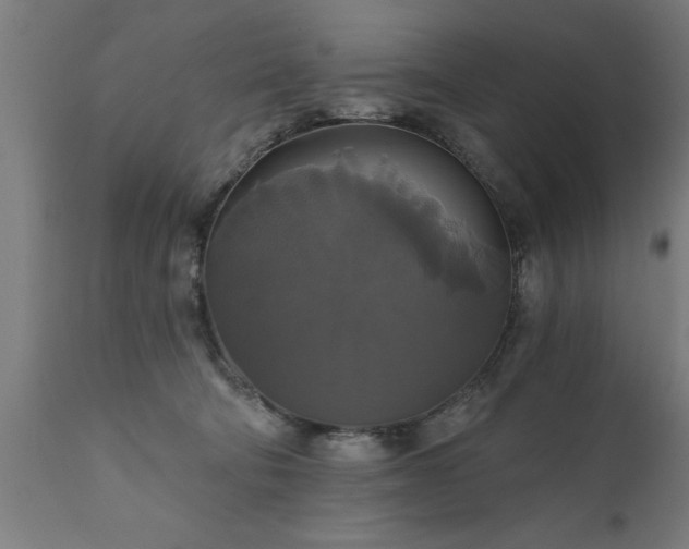 X0000111820322200907301303