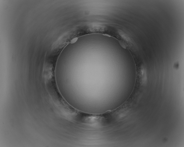 X0000111820323200907301303