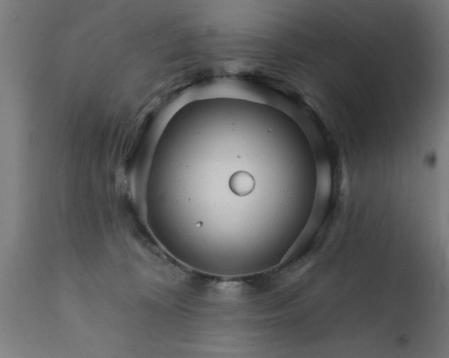 X0000111820324200907301303