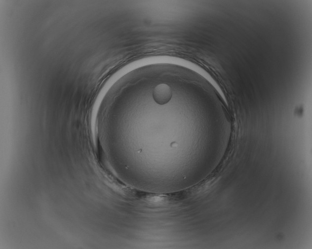 X0000111820325200907301303