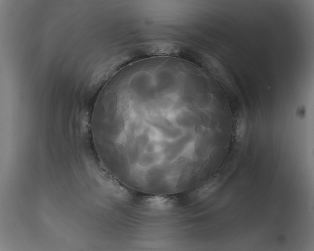 X0000111820326200907301303