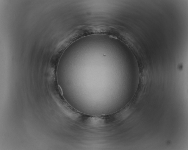 X0000111820327200907301303