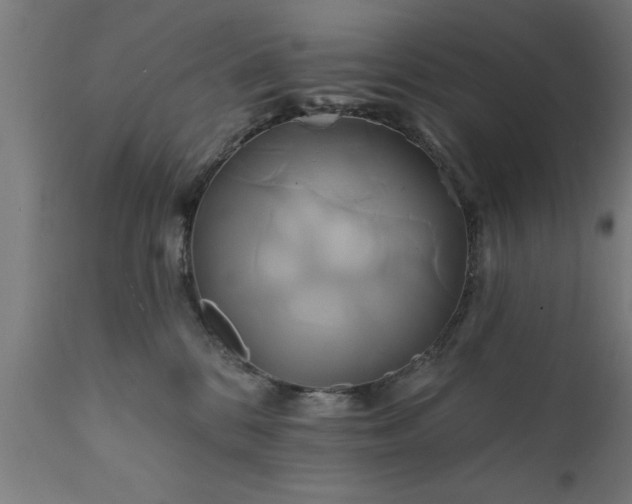 X0000111820328200907301303