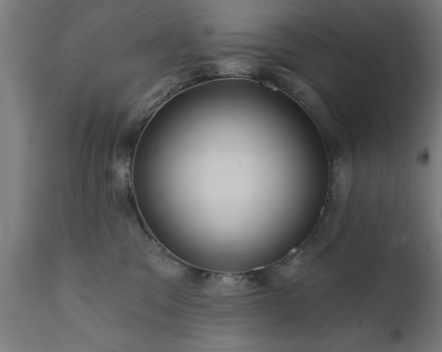 X0000111820329200907301303