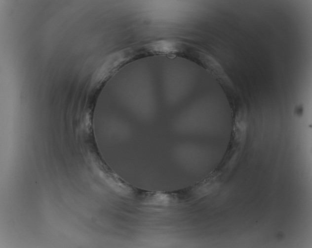 X0000111820330200907301303
