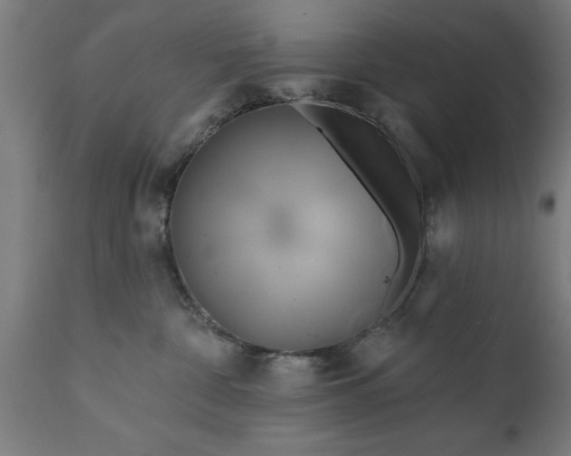 X0000111820332200907301303