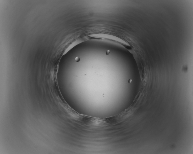 X0000111820333200907301303