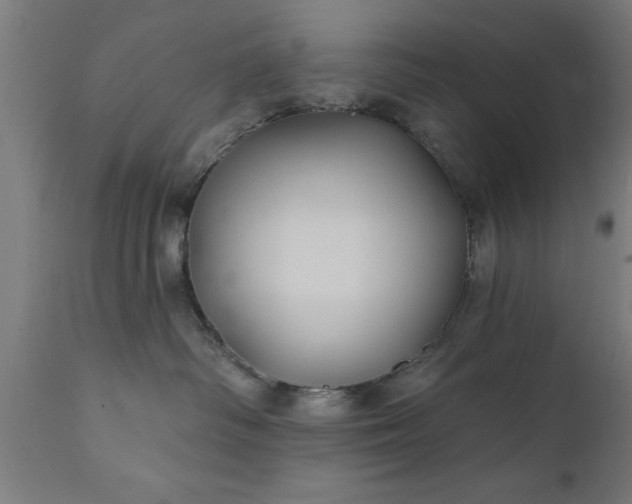 X0000111820334200907301302