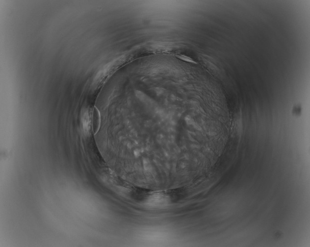 X0000111820335200907301302