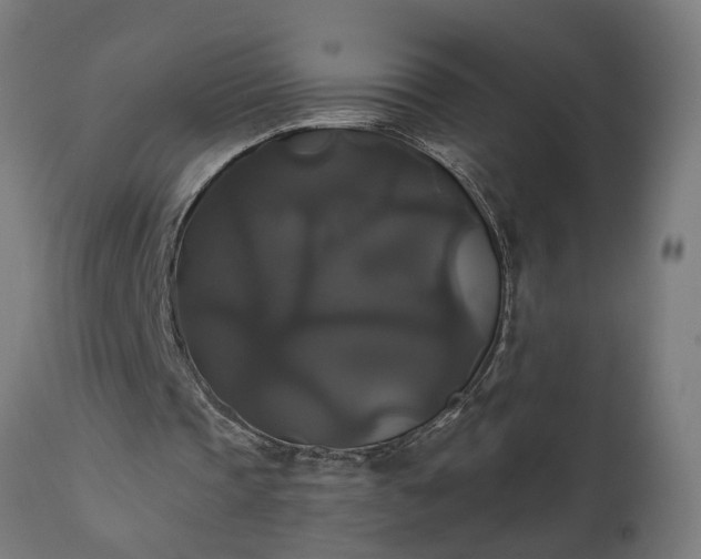 X0000111820337200907301302