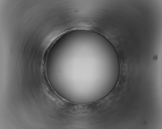 X0000111820338200907301302