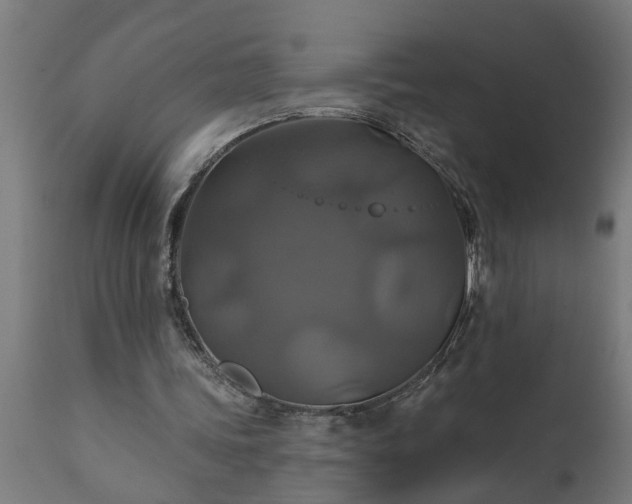 X0000111820339200907301302