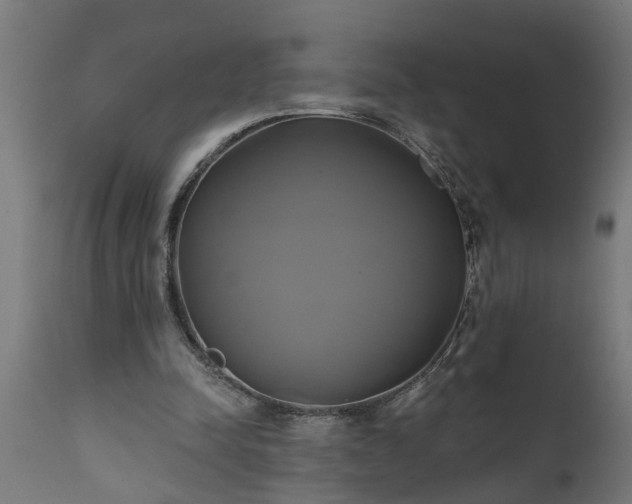 X0000111820342200907301302