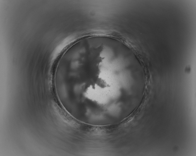 X0000111820343200907301302