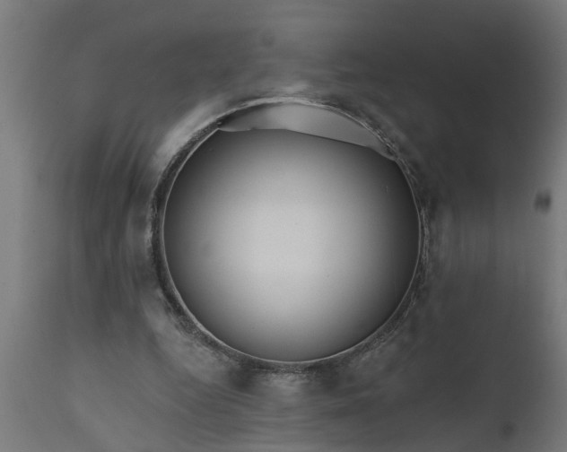 X0000111820344200907301302