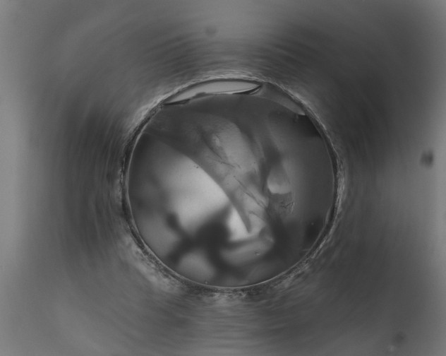 X0000111820345200907301302