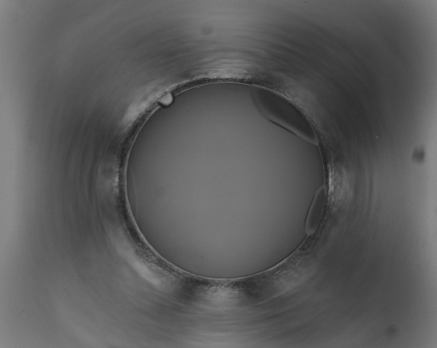X0000111820348200907301302