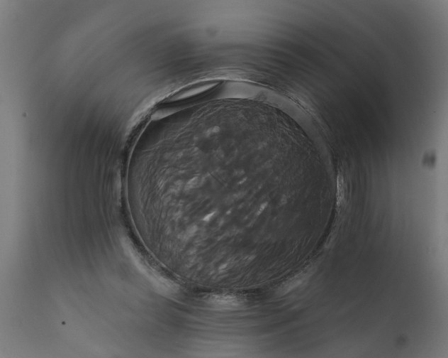 X0000111820349200907301302