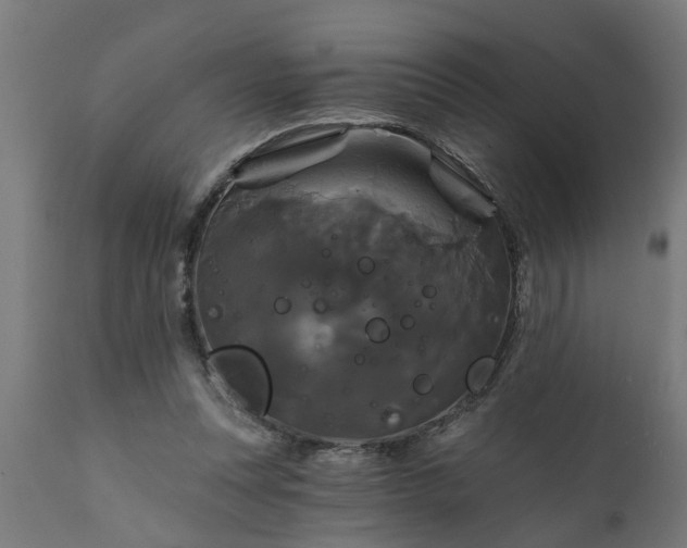 X0000111820351200907301302
