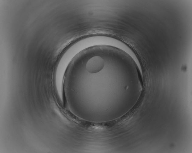 X0000111820352200907301302