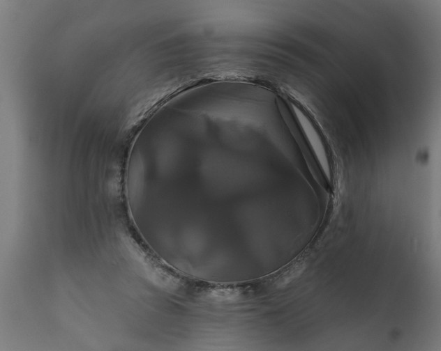 X0000111820353200907301302