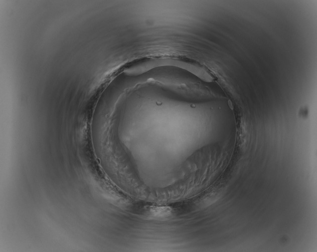 X0000111820355200907301302