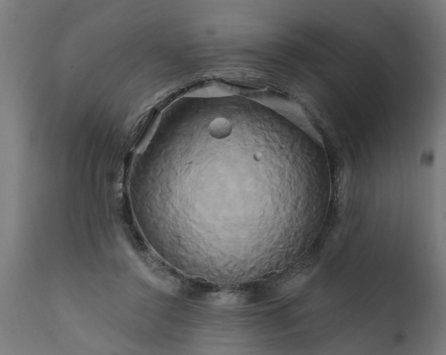 X0000111820356200907301302