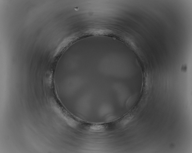 X0000111820357200907301302