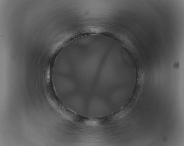 X0000111820358200907301302