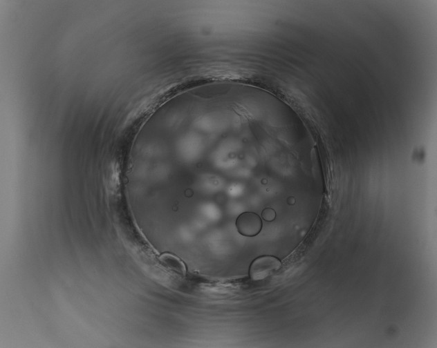 X0000111820359200907301302
