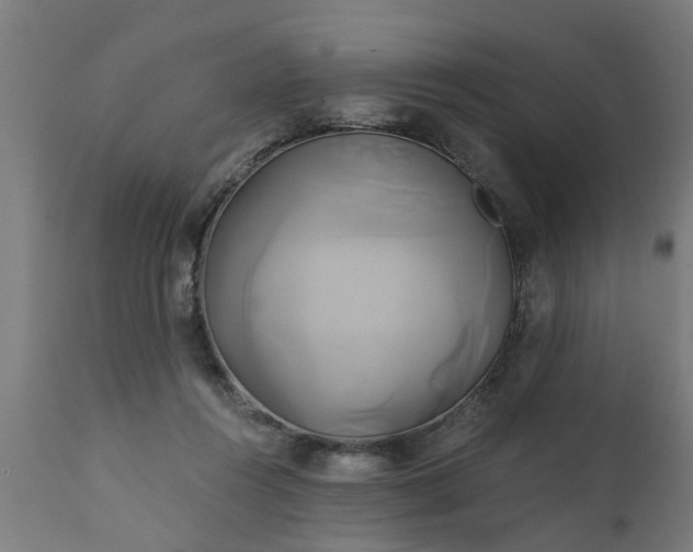 X0000111820360200907301302