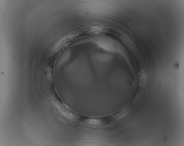 X0000111820361200907301302