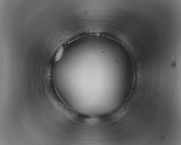 X0000111820362200907301302