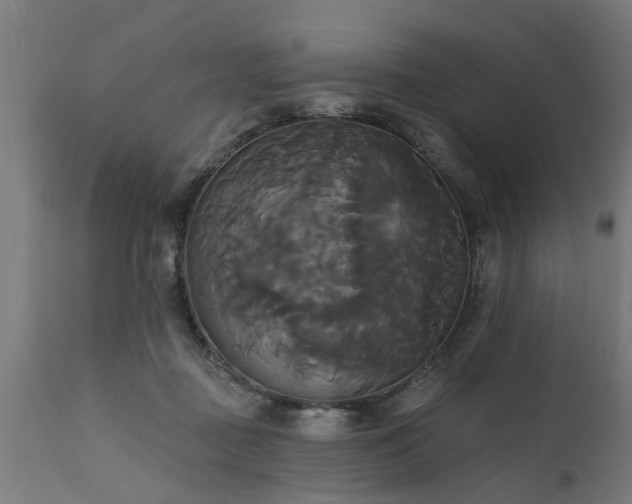 X0000111820363200907301302