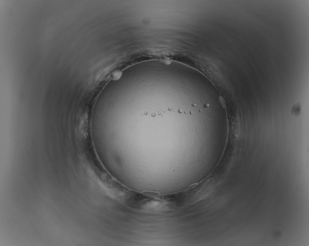 X0000111820364200907301302