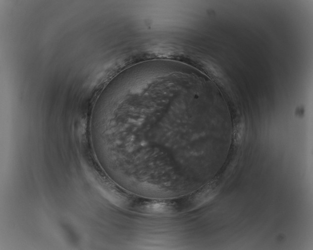 X0000111820365200907301302