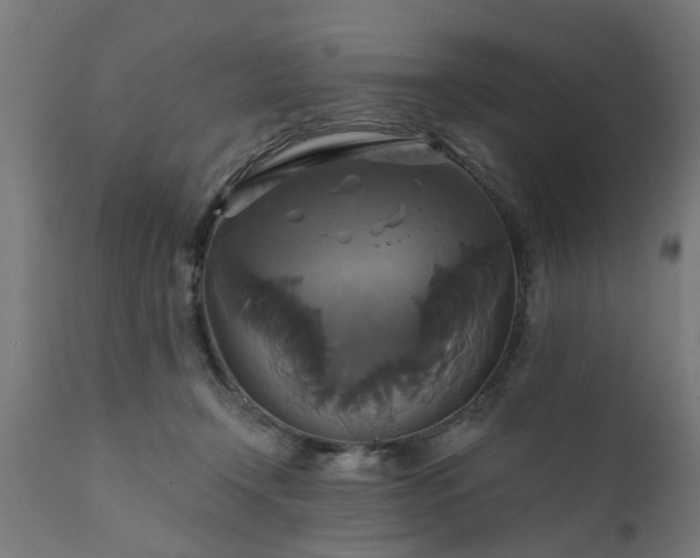 X0000111820366200907301302