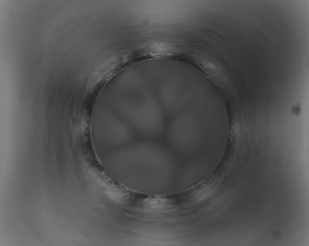 X0000111820367200907301302