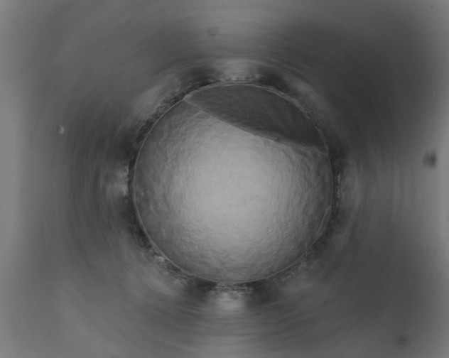 X0000111820368200907301302