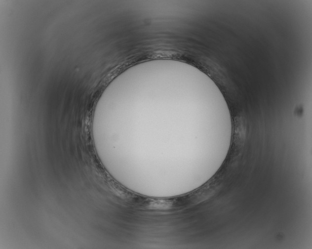 X0000111820369200907301302
