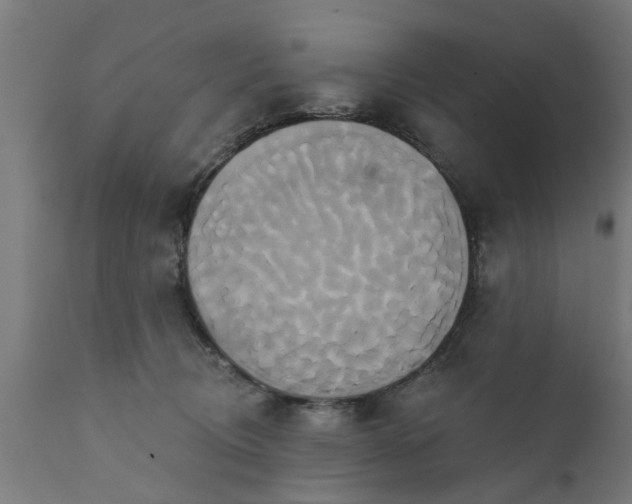 X0000111820370200907301302
