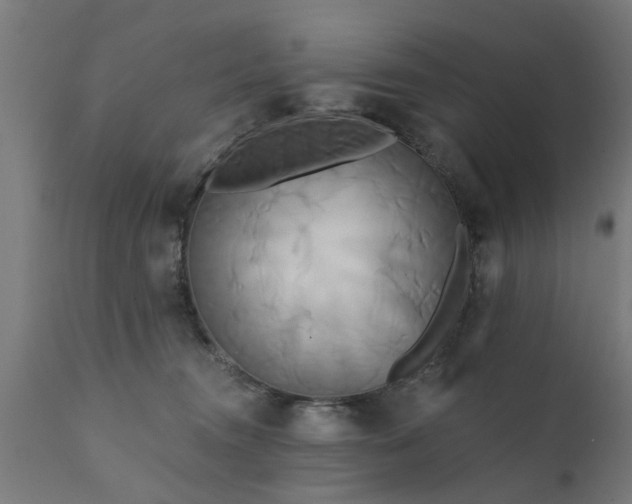 X0000111820372200907301302