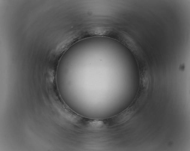 X0000111820374200907301302