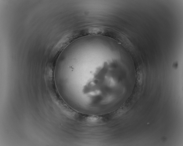 X0000111820375200907301302