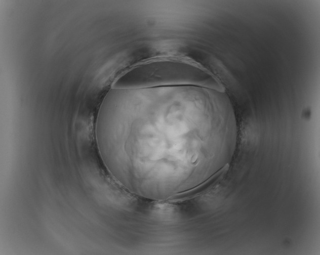 X0000111820376200907301302